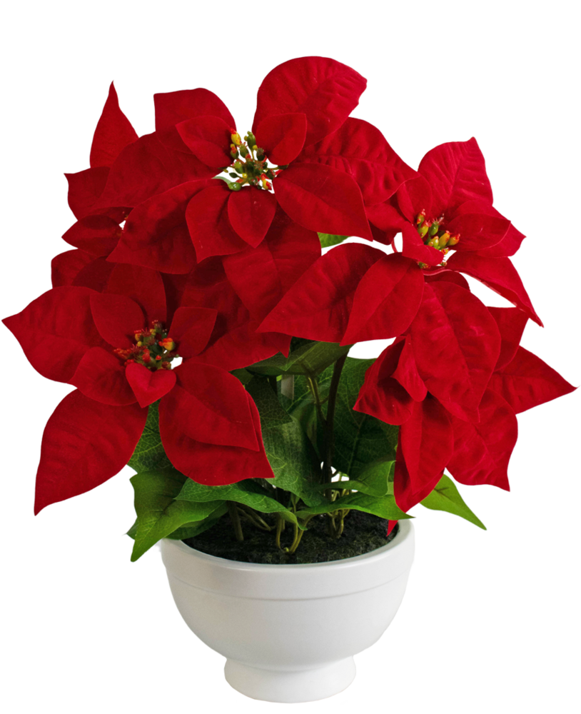 Greenmoods Kunstig Julestjerne Fyldig Rød i Skål 44cm