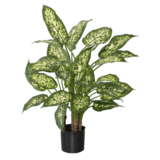 Greenmoods Kunstig Dieffenbachia Fyldig 70 cm