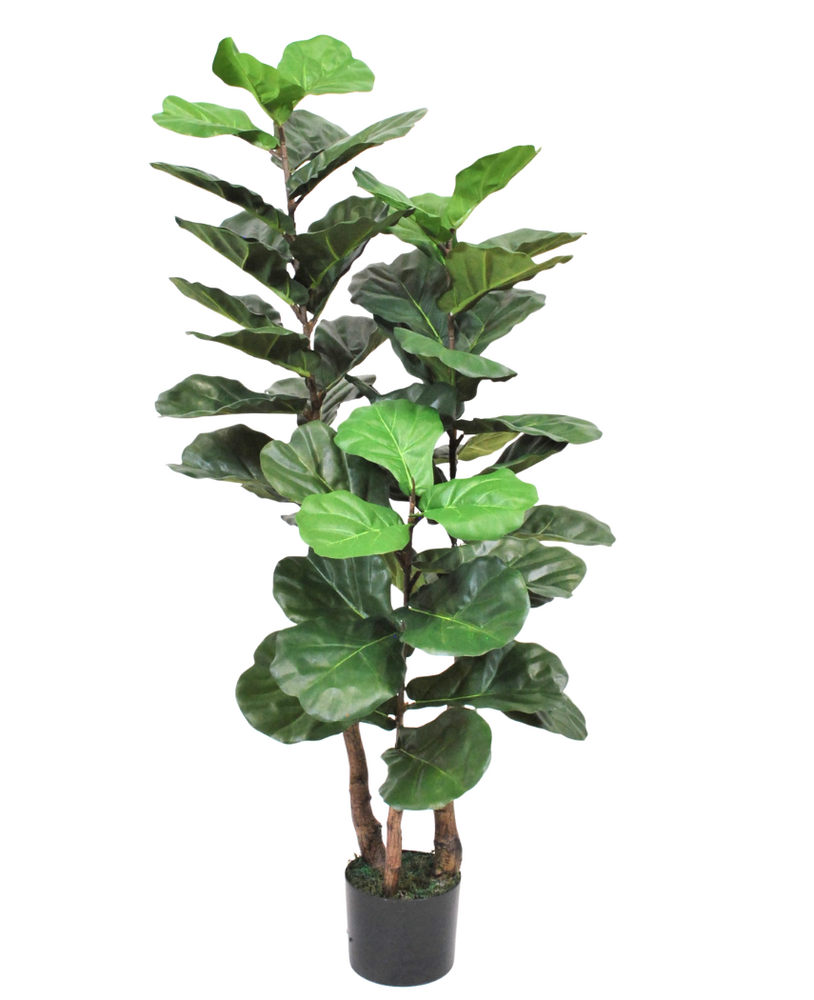 Greenmoods Kunstig Fiolinfiken 3 Stammer 130cm