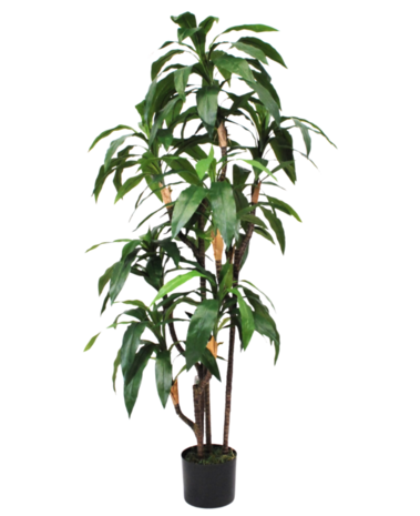 Greenmoods Kunstig Dracaena Fyldig 150cm