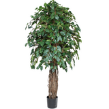Greenmoods Kunstig Gråtende Fikus Benjamina 180cm