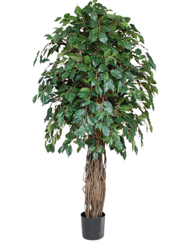 Greenmoods Kunstig Gråtende Fikus Benjamina 180cm