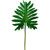Greenmoods Kunstig  blad Philodendron 68 cm