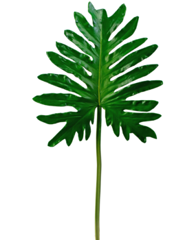 Greenmoods Kunstig  blad Philodendron 68 cm