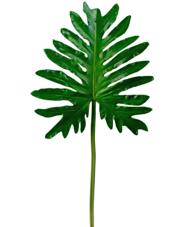 Greenmoods Kunstig  blad Philodendron 68 cm