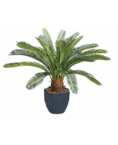 Greenmoods Kunstig Palme Cycas 60 cm UV
