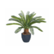 Greenmoods Kunstig Palme Cycas 60 cm UV