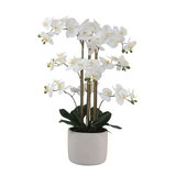 Greenmoods Kunstig Orkidé Hvit Real Touch 75cm