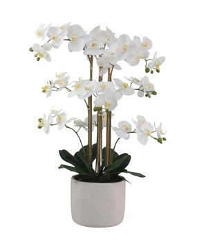 Greenmoods Kunstig Orkidé Hvit Real Touch 75cm