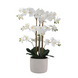Greenmoods Kunstig Orkidé Hvit Real Touch 75cm