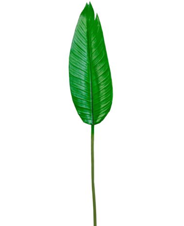 Greenmoods Kunstig blad Strelitzia 110cm