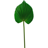 Greenmoods Kunstig blad 73cm