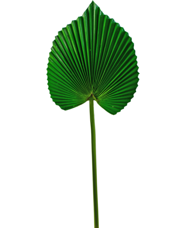 Greenmoods Kunstig blad 73cm