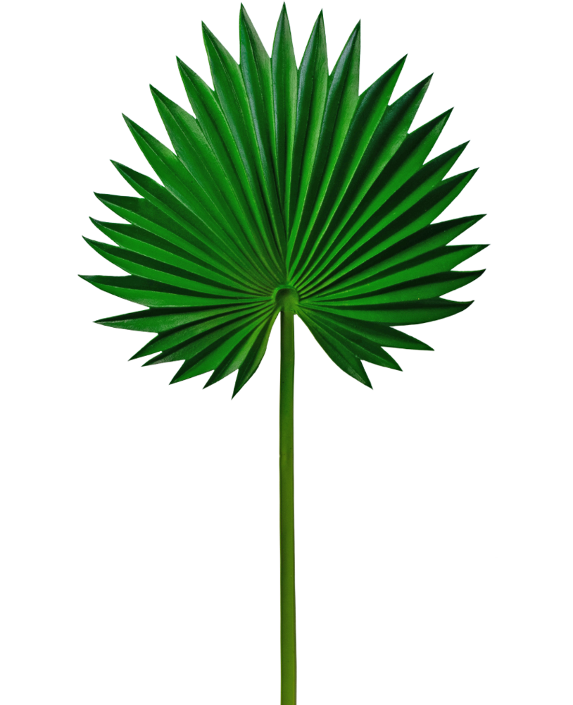 Greenmoods Kunstig blad Washingtonia 73cm