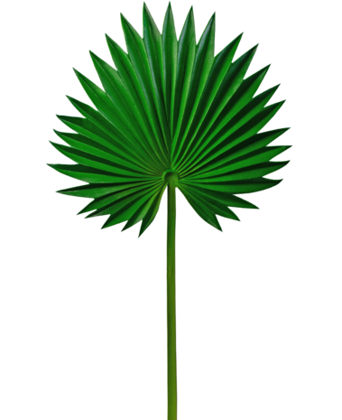 Greenmoods Kunstig blad Washingtonia 73cm