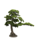 Greenmoods Kunstig Bonsai Furu UV 115 cm