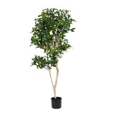 Greenmoods Kunstig Shikibi Laurbær Tre 120cm