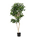 Greenmoods Kunstig Shikibi Laurbær Tre 120cm