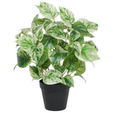 Greenmoods Kunstig Gullranke Grønnhvit i Potte UV 35cm