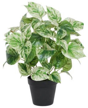 Greenmoods Kunstig Gullranke Grønnhvit i Potte UV 35cm