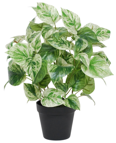 Greenmoods Kunstig Gullranke Grønnhvit i Potte UV 35cm