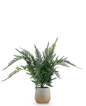 Greenmoods Kunstig Bregne i Potte 51cm