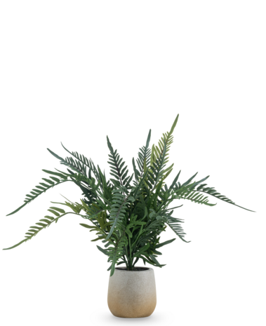 Greenmoods Kunstig Bregne i Potte 51cm