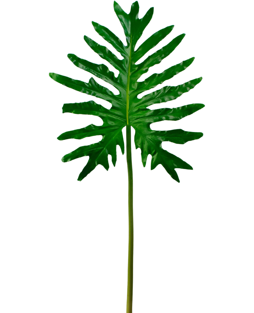 Greenmoods Kunstig blad Philodendron 90 cm