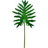 Greenmoods Kunstig blad Philodendron 90 cm