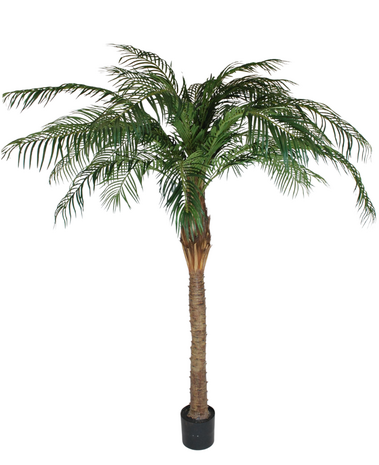 Greenmoods Kunstig Tropical Phoenix Palme 210 cm