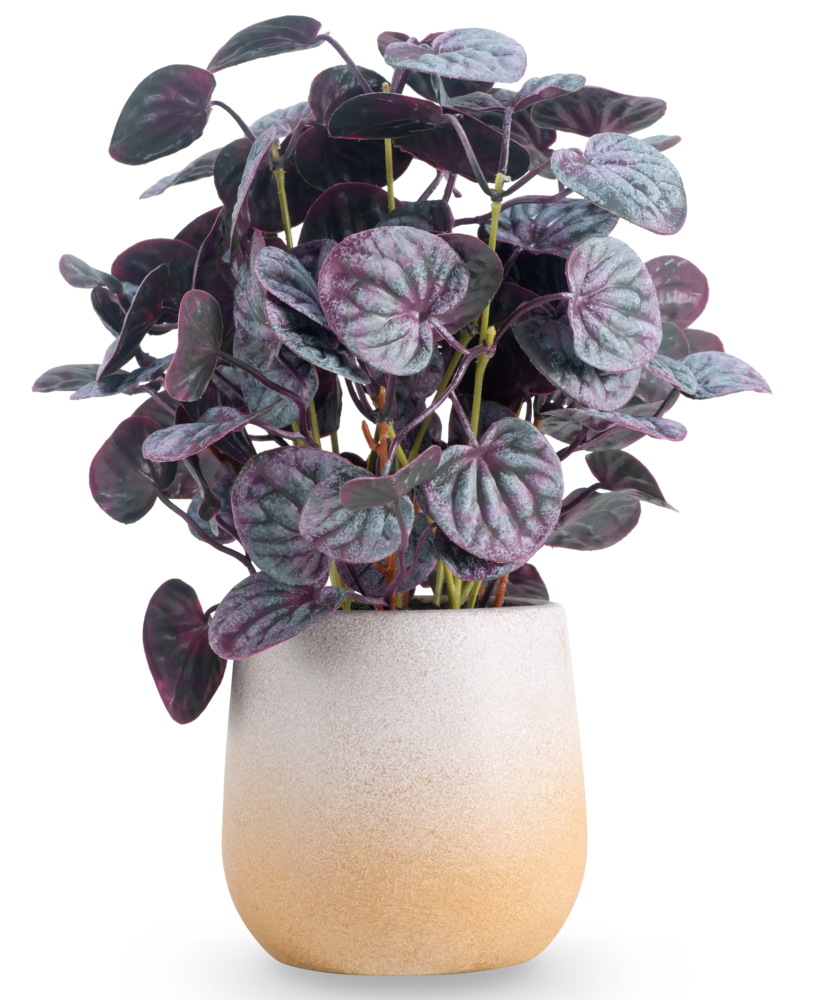 Greenmoods Kunstig Peperomia Caperata Lilla i Potte 31 cm