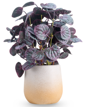 Greenmoods Kunstig Peperomia Caperata Lilla i Potte 31 cm