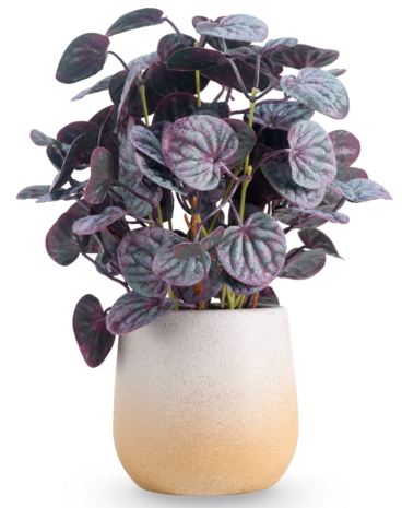 Greenmoods Kunstig Peperomia Caperata Lilla i Potte 31 cm
