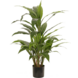 Greenmoods Kunstig Cordyline Plante 65 cm
