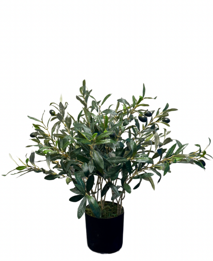 Greenmoods Kunstig Olivenbusk m/Oliven 50 cm