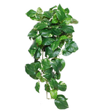 Greenmoods Kunstige Hengende Gullranke Deluxe i Potte UV 80cm