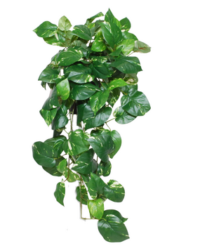 Greenmoods Kunstige Hengende Gullranke Deluxe i Potte UV 80cm