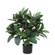 Greenmoods Kunstig Gummiplante 75 cm
