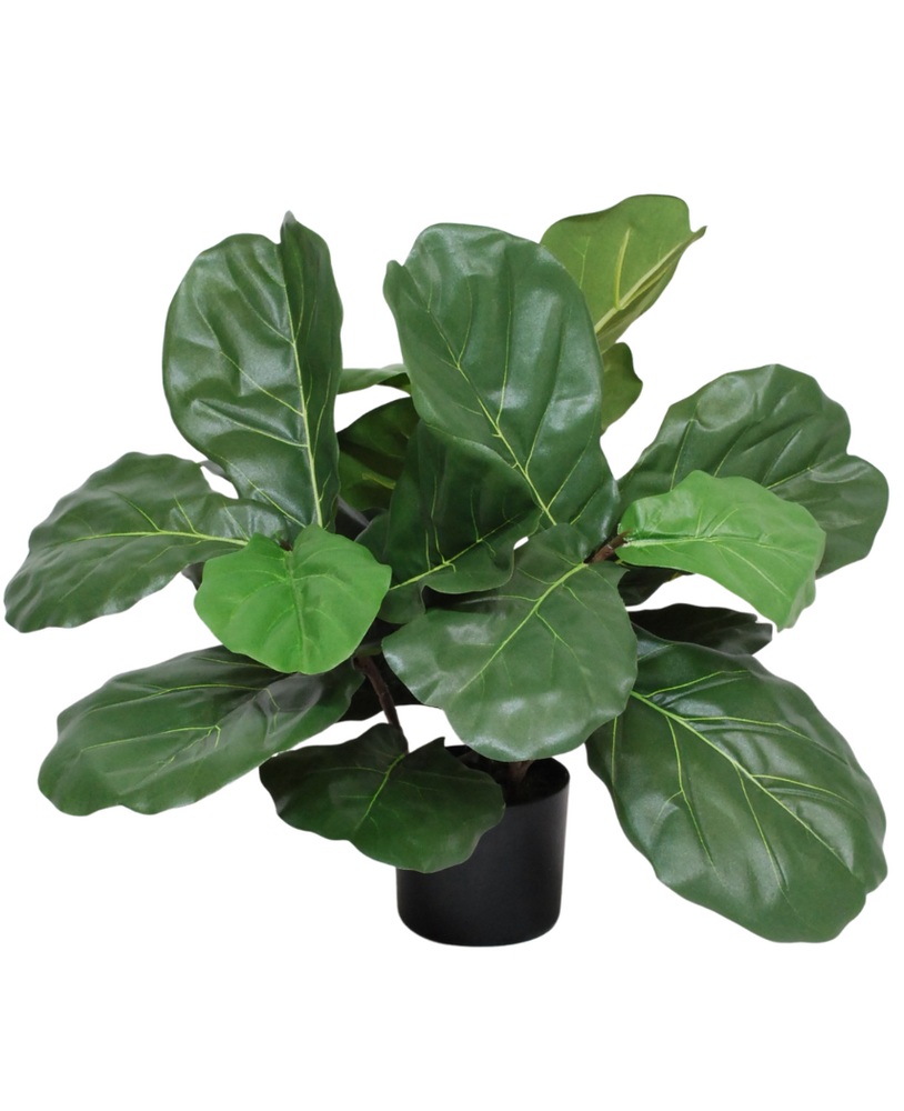 Greenmoods Kunstig Fiolinfiken Plante 60 cm