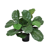 Greenmoods Kunstig Fiolinfiken Plante 60 cm
