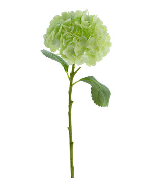 Greenmoods Kunstig Hortensia Real Touch Lys Grønn 49 cm