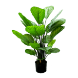 Greenmoods Kunstig Calathea Orbifolia 70 cm