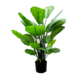 Greenmoods Kunstig Calathea Orbifolia 70 cm