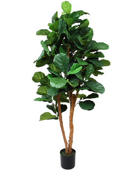 Greenmoods Kunstig Fiolinfiken Tre 170cm