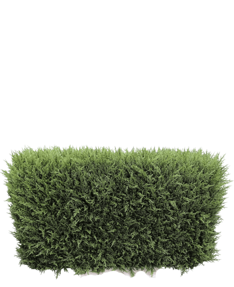 Greenmoods Kunstig Tuja Hekk UV 90x35x50cm