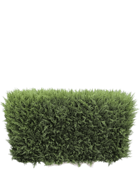 Greenmoods Kunstig Tuja Hekk UV 90x35x50cm