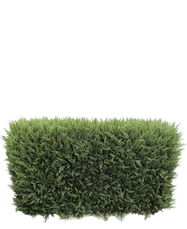 Greenmoods Kunstig Tuja Hekk UV 90x35x50cm