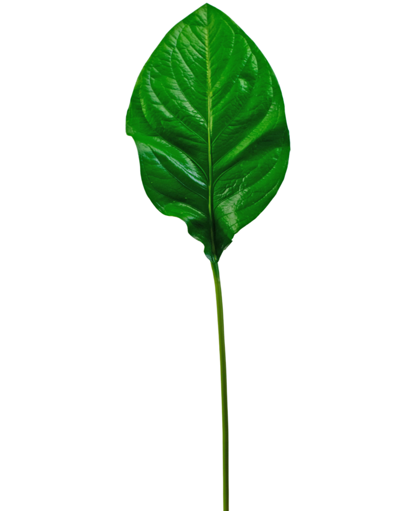 Greenmoods Kunstig blad grønn 90cm