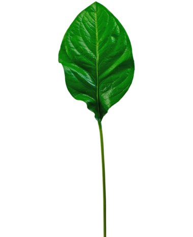 Greenmoods Kunstig blad grønn 90cm