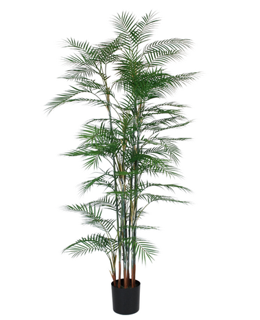 Greenmoods Kunstig Areca Fjær-Palme 200 cm